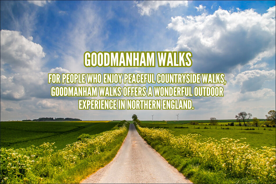 Goodmanham Walks Guide Best Routes Views and Visitor Tips